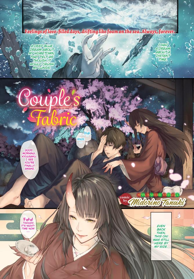 Couples Fabric Midorino Tanuki