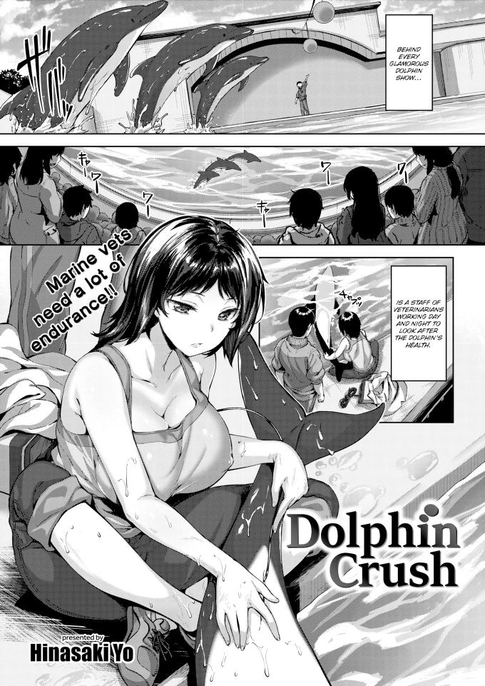 Dolphin Crush Hinasaki Yo