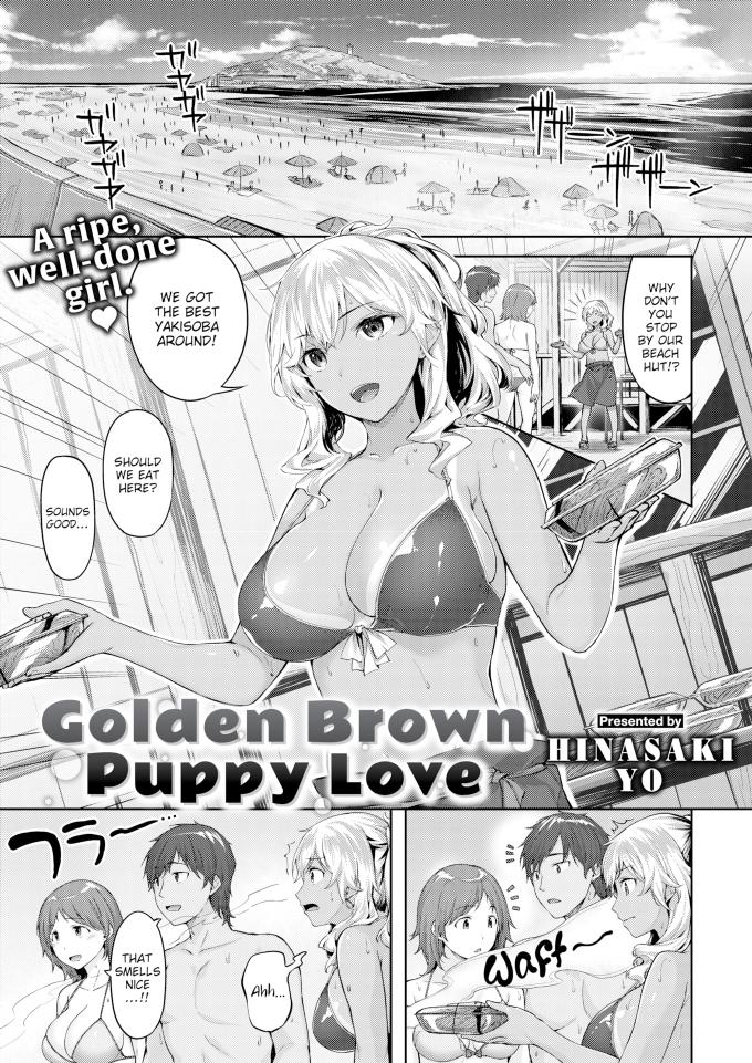 Golden Brown Puppy Love Hinasaki Yo