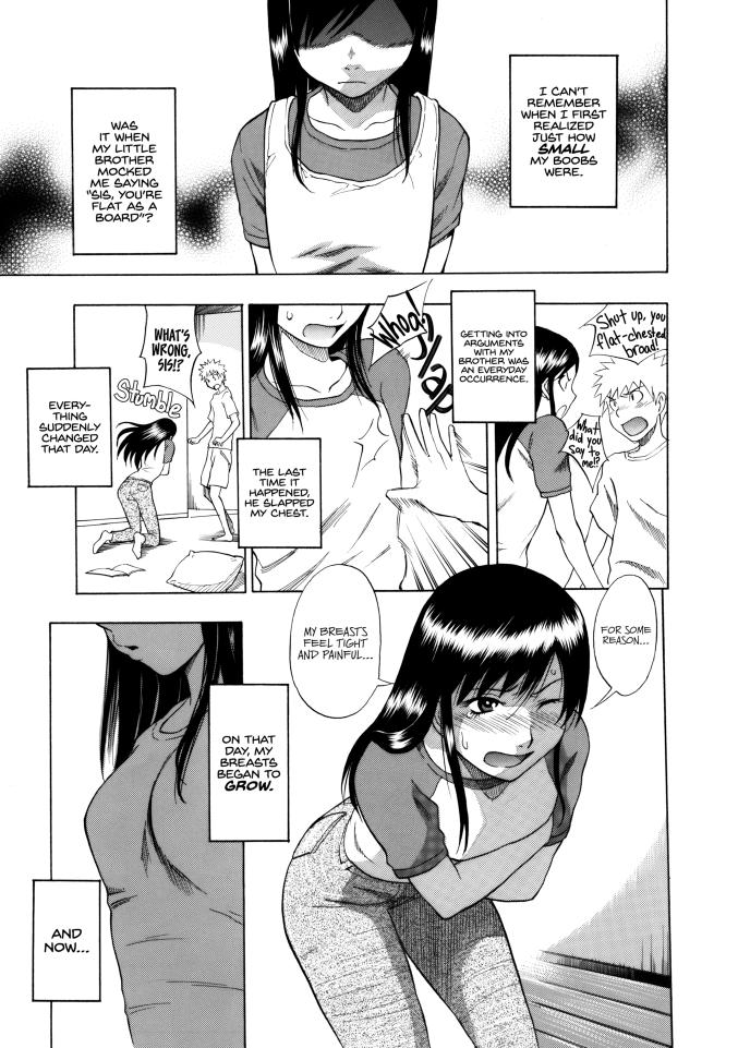 Tiny Boobs Giant Tits History Shiden Akira