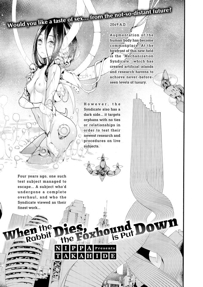 When The Rabbit Dies The Foxhound Is Put Down Nippa Takahide