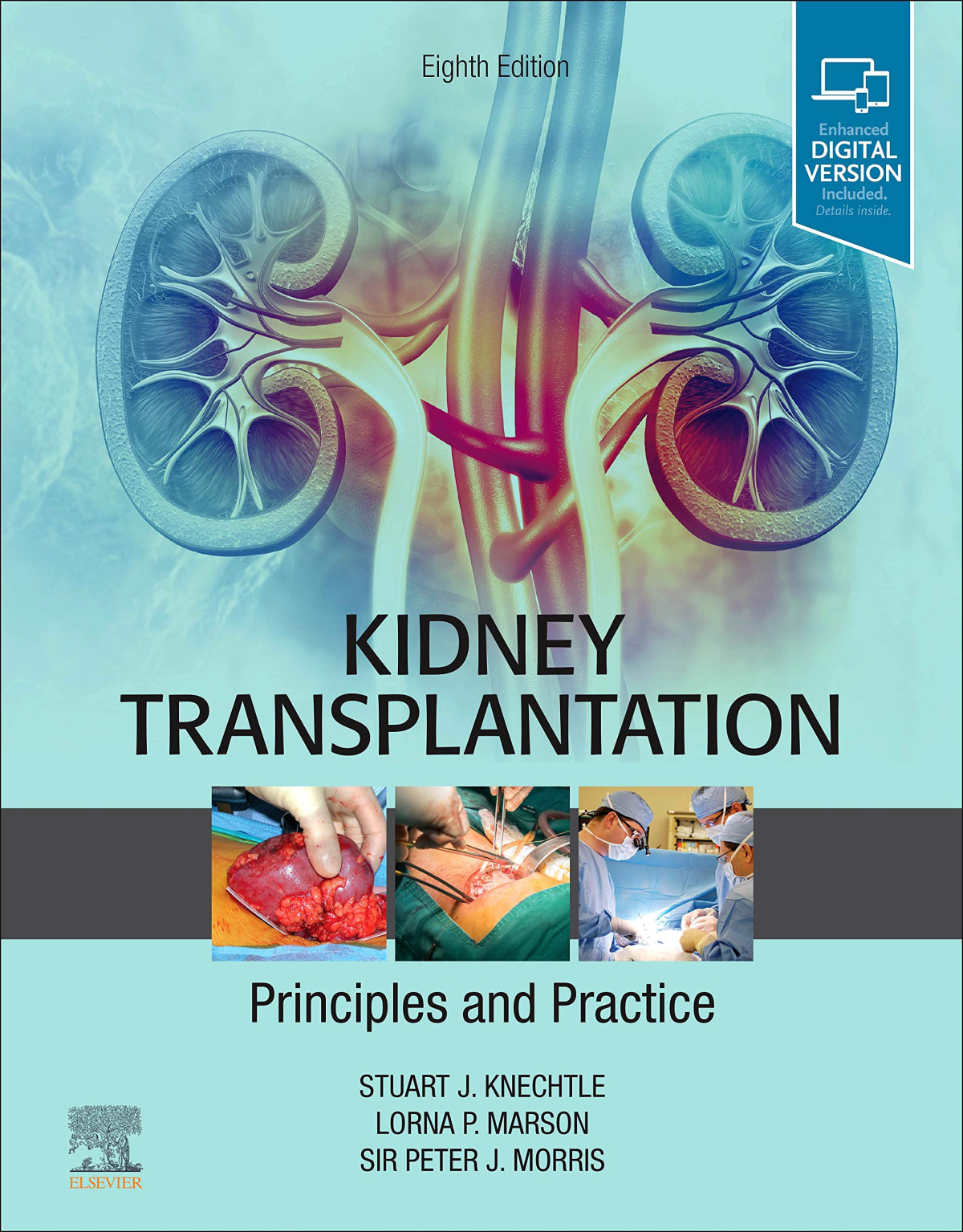 Kidney Transplantation Principles And Practice 8th Edition 8th Stuart J Knechtle