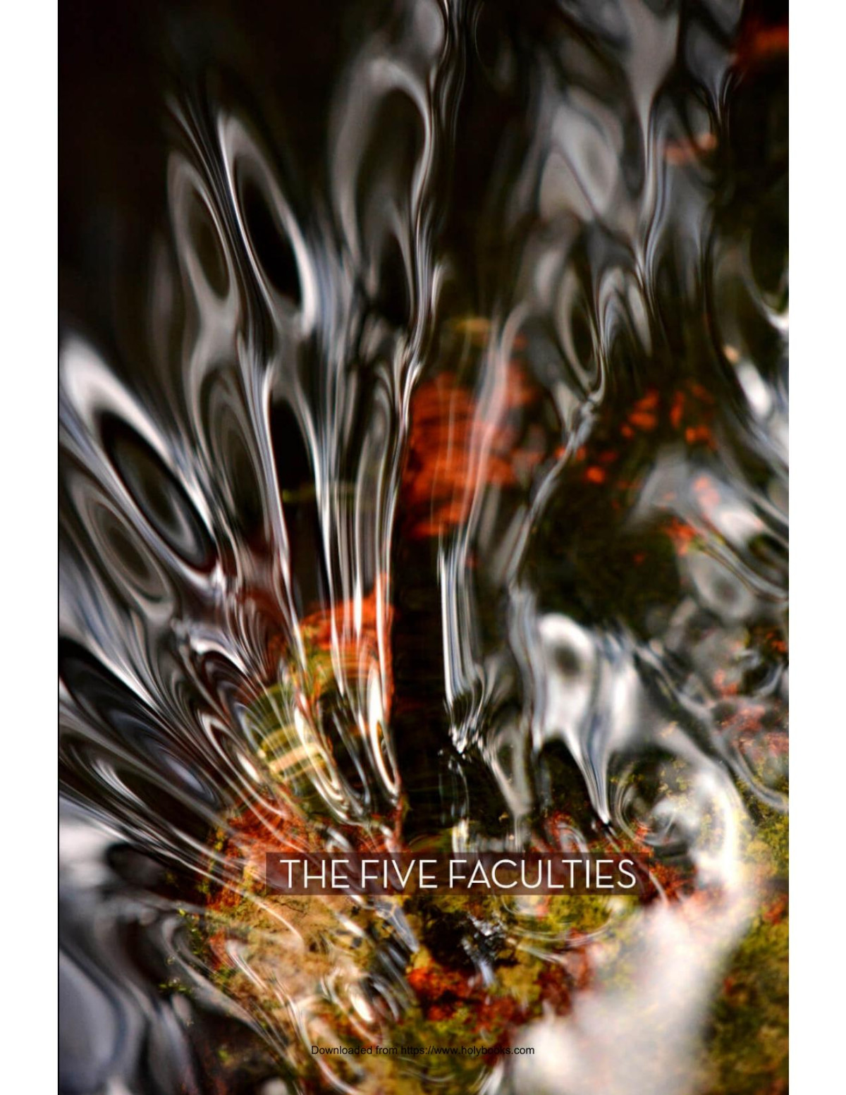 The Five Faculties Putting Wisdom In Charge Of The Mind Hnissaro Bhikkhu