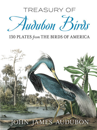 Treasury Of Audubon Birds 130 Plates From The Birds Of America John James Audubon