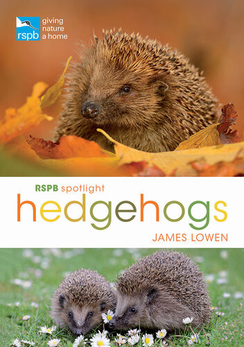 Rspb Spotlight Hedgehogs James Lowen