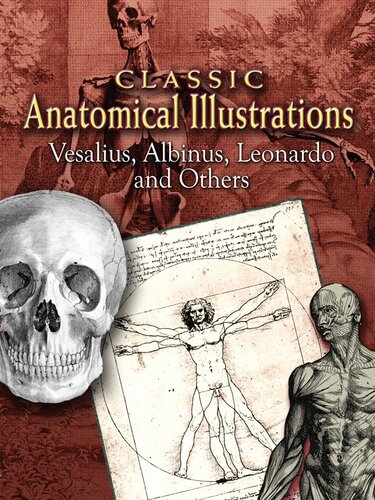 Classic Anatomical Illustrations Vesalius Albinus Leonardo And Others Andreas Vesalius