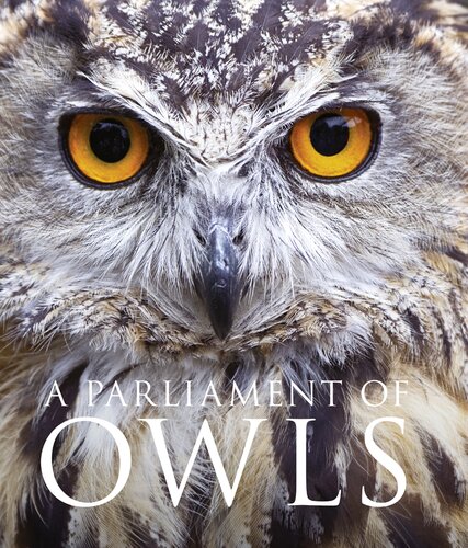 A Parliament Of Owls Mike Unwin David Tipling