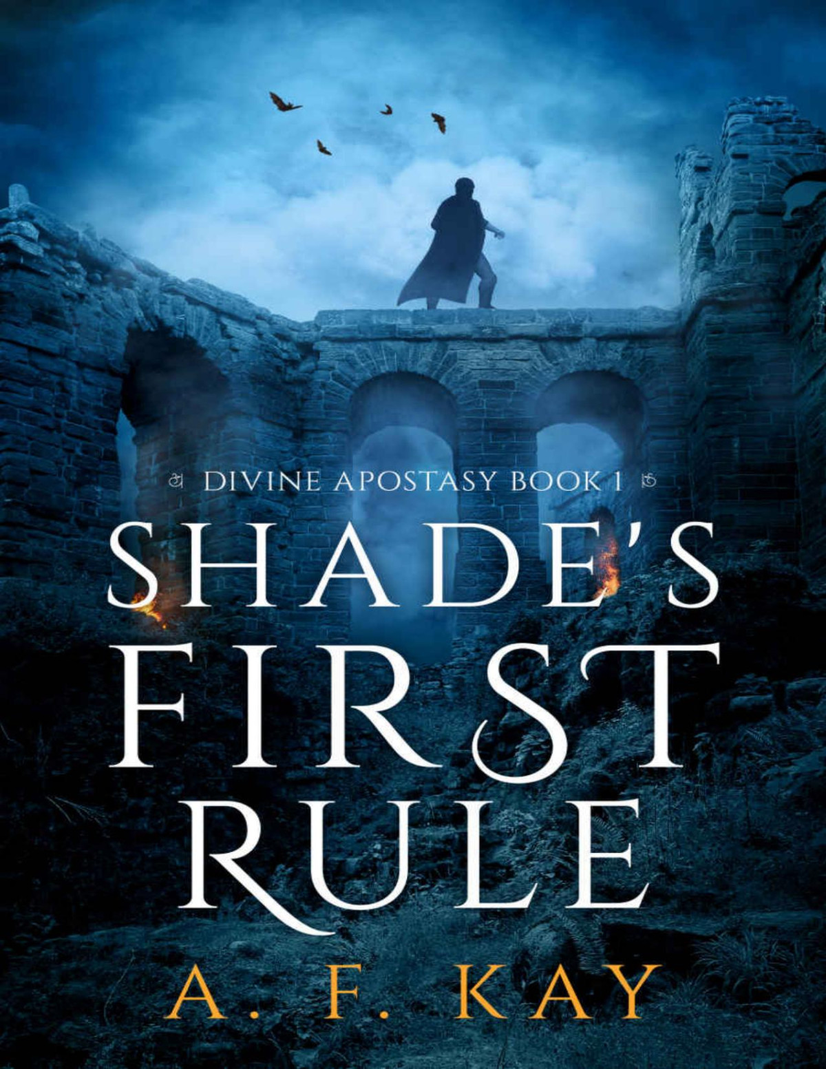 Shades First Rule Divine Apostasy Book 1 A F Kay