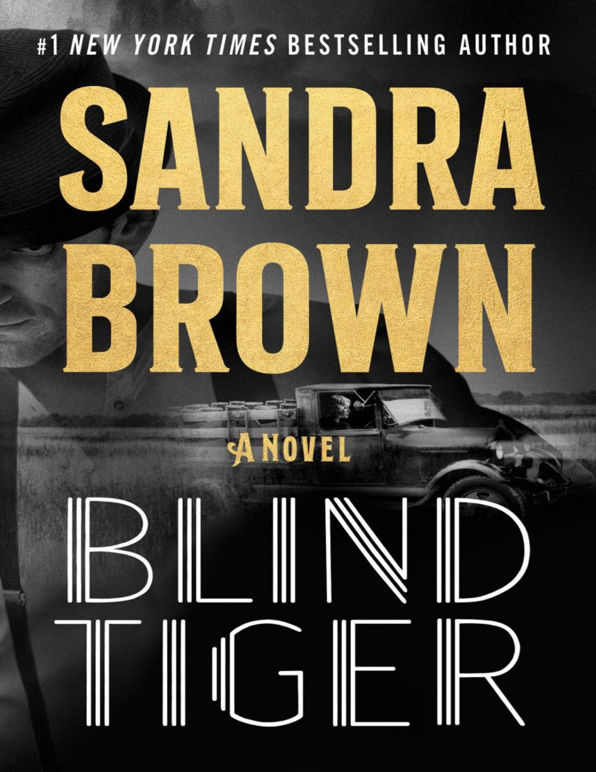 Blind Tiger Sandra Brown