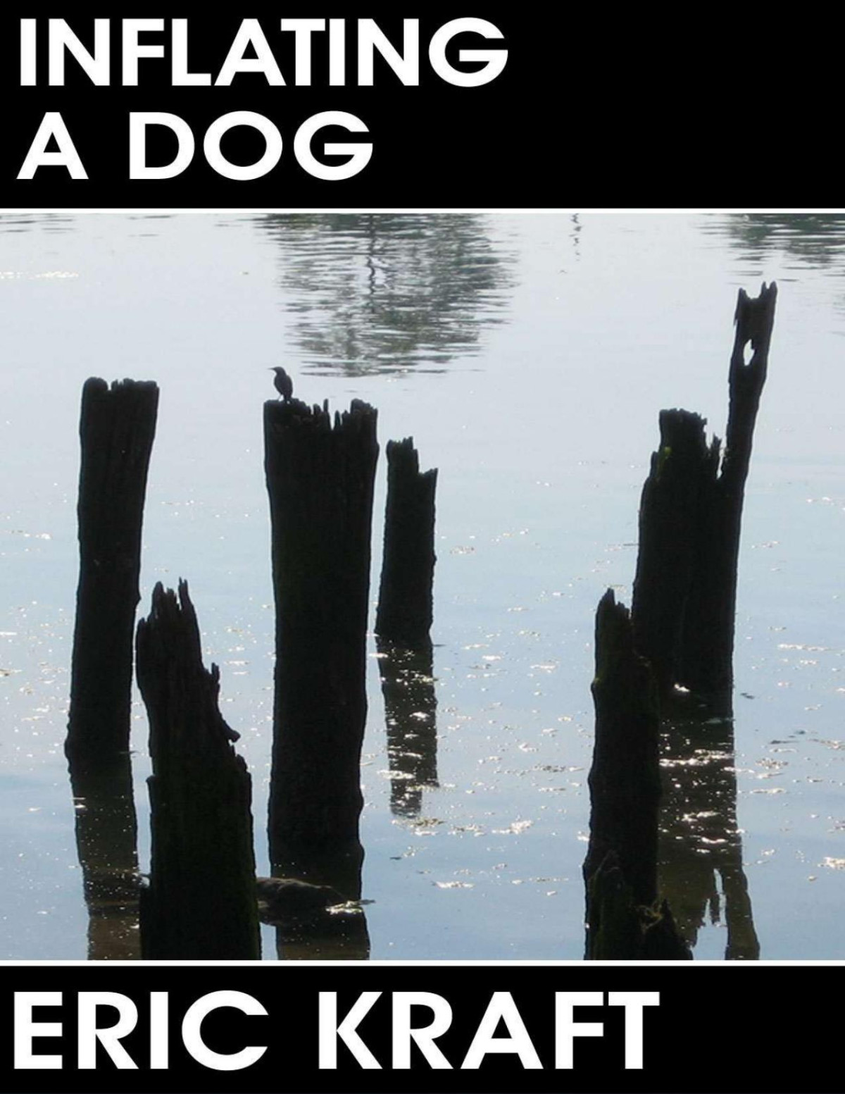 Inflating A Dog The Personal History Adventures Experiences Observations Of Peter Leroy Eric Kraft