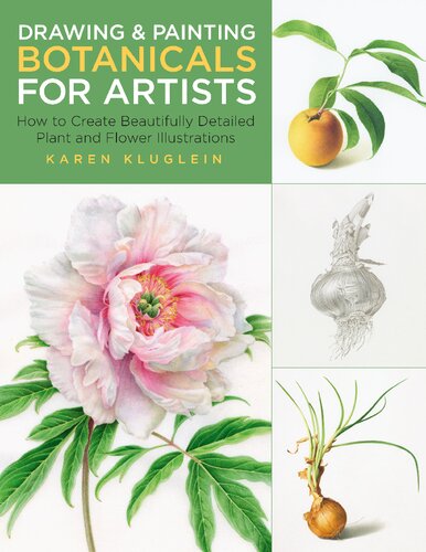 Drawing And Painting Botanicals For Artists How To Create Beautifully Detailed Plant And Flower Illustrations Karen Kluglein