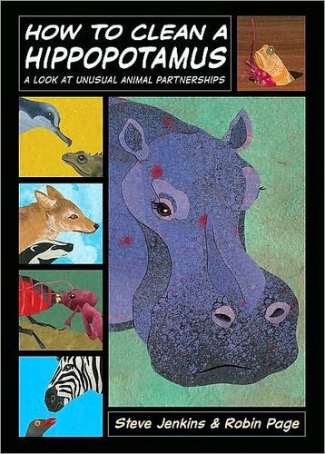 How To Clean A Hippopotamus A Look At Unusual Animal Partnerships Steve Jenkins