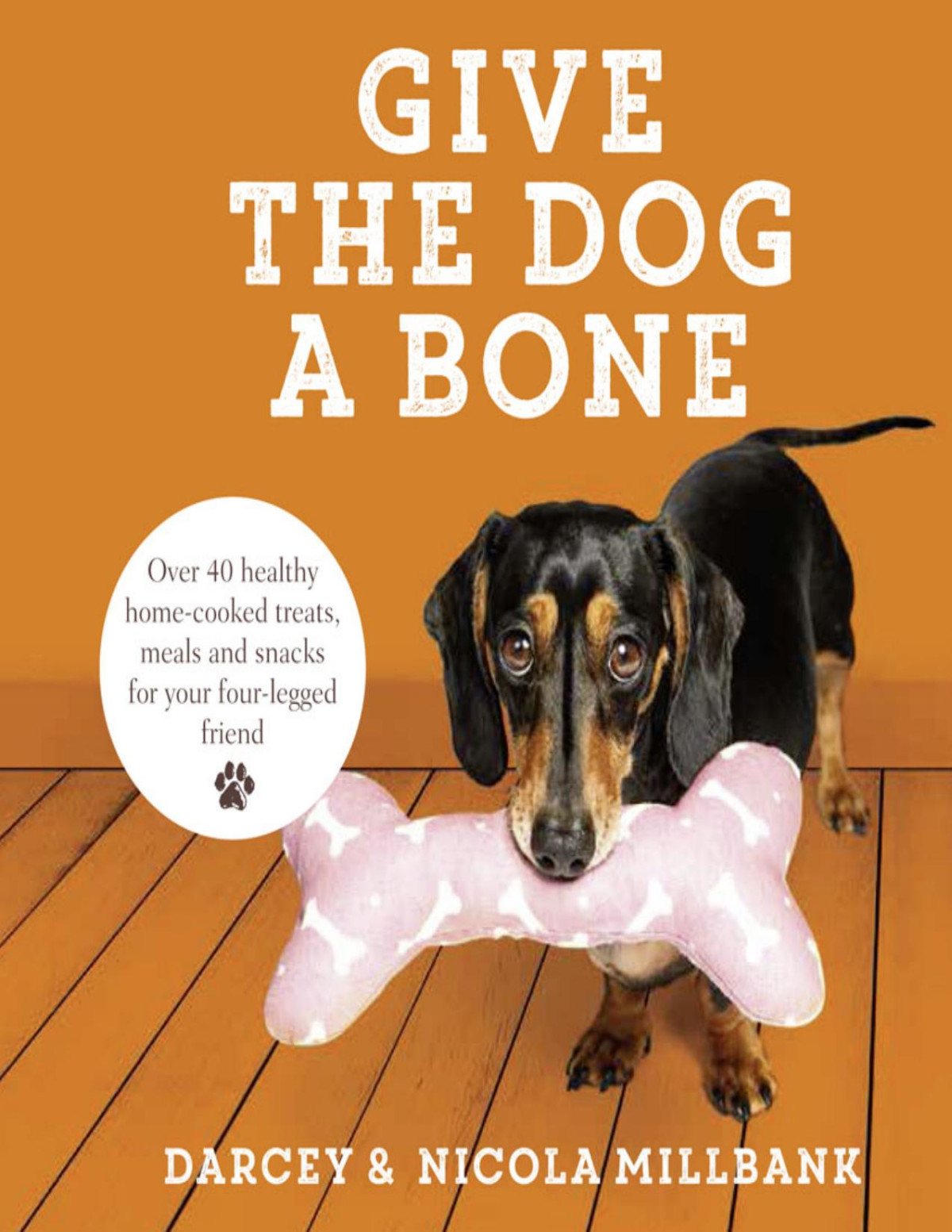Give The Dog A Bone Darcey The Dachshund