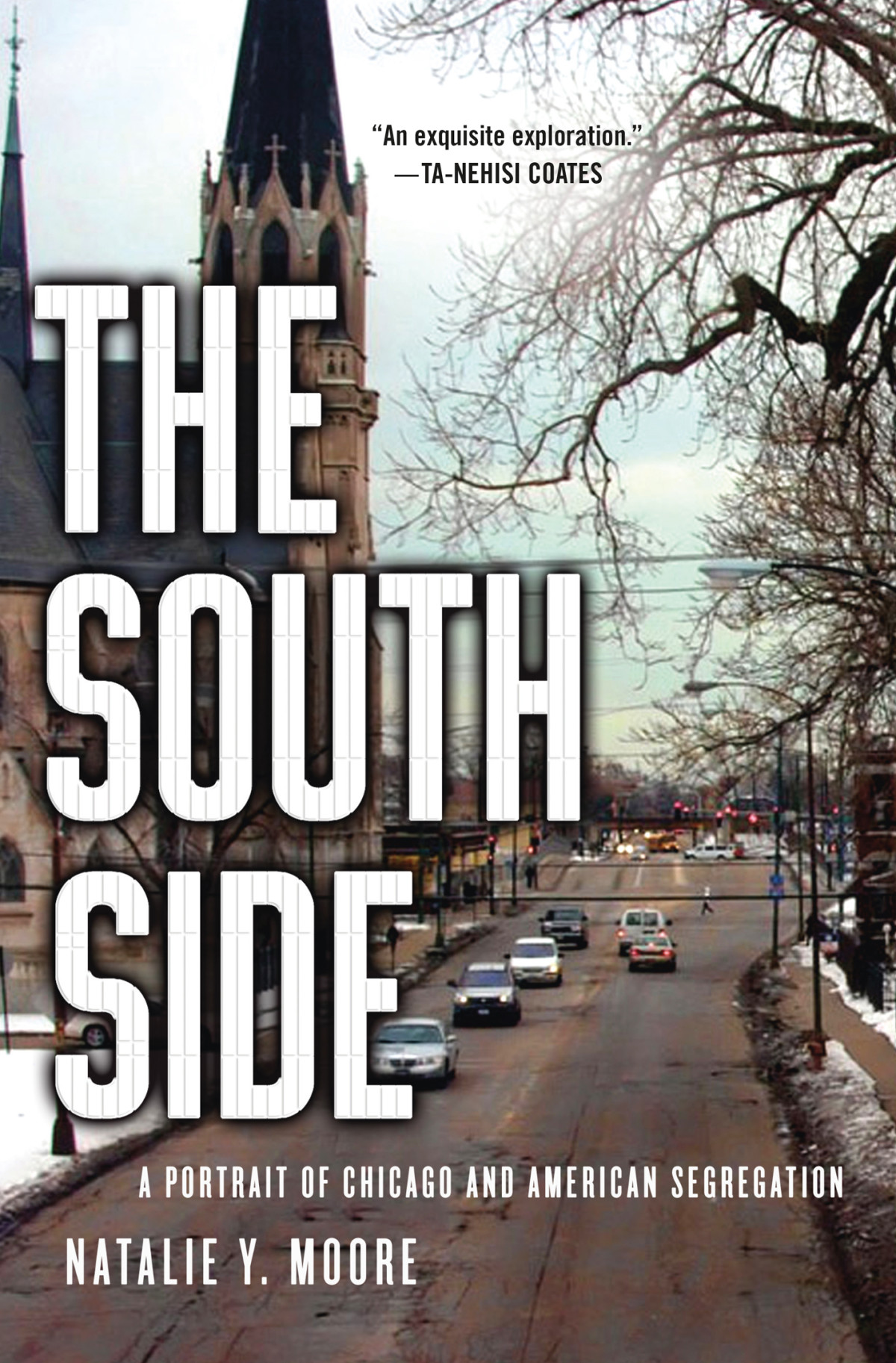 The South Side Natalie Y Moore