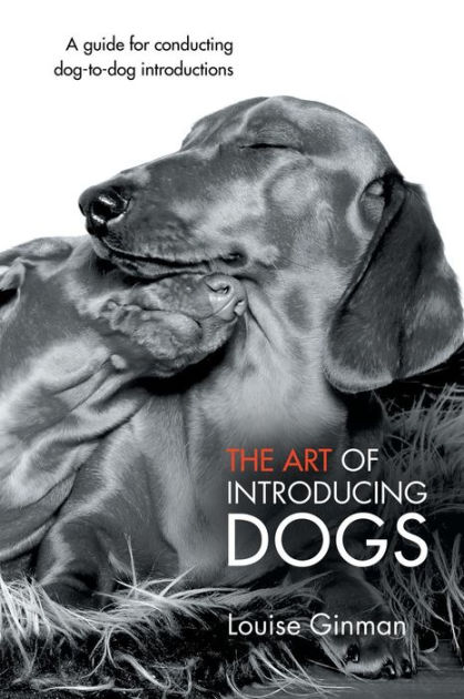 The Art Of Introducing Dogs Louise Ginman