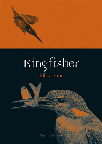 Kingfisher Ildiko Szabo