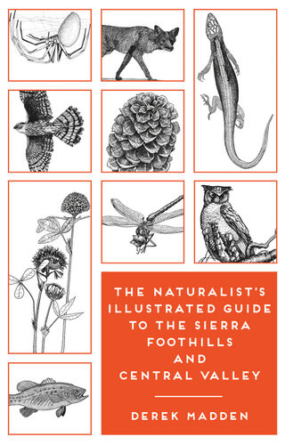 The Naturalists Illustrated Guide To The Sierra Foothills And Central Valley Derek Madden