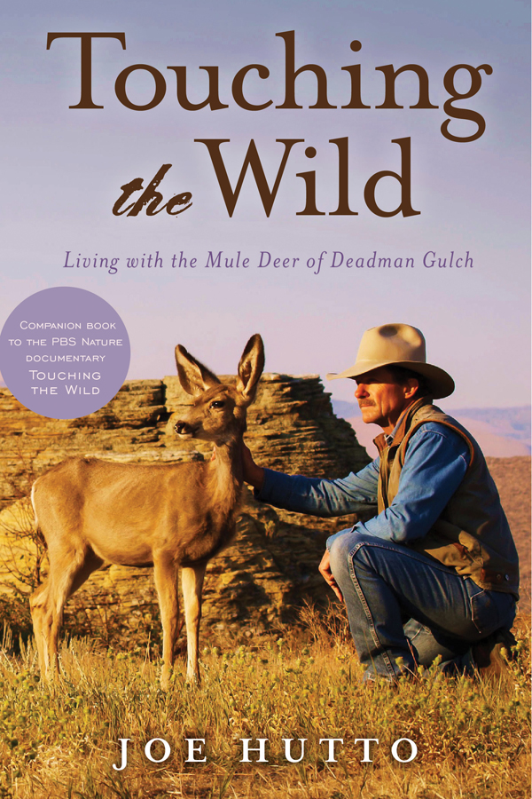 Touching The Wild Joe Hutto