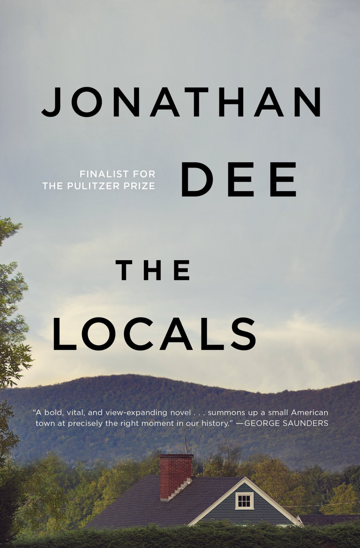 The Locals A Novel Jonathan Dee