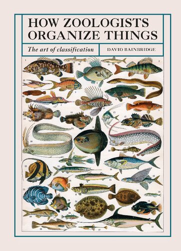 How Zoologists Organize Things The Art Of Classification David Bainbridge