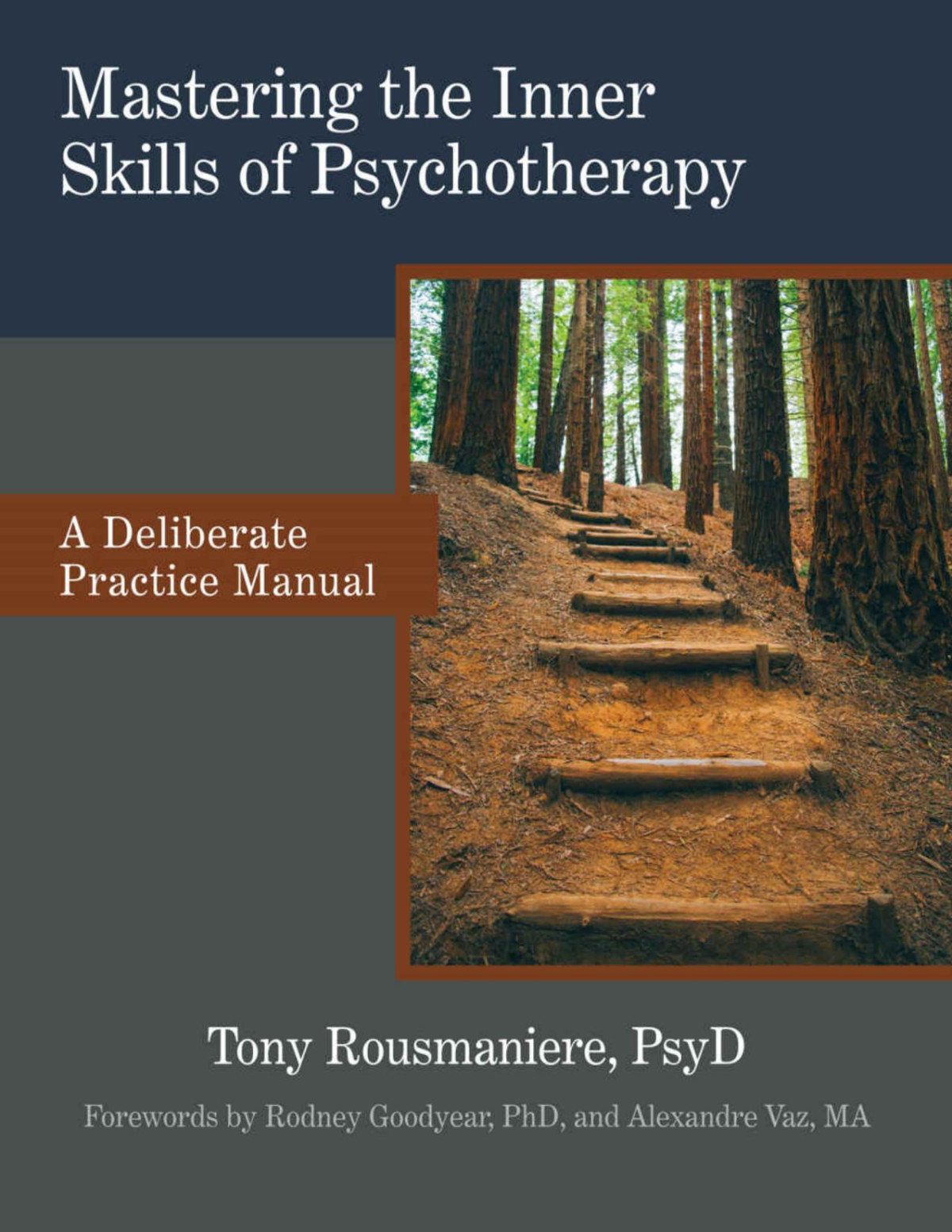 Mastering The Inner Skills Of Psychotherapy 1st Edition Tony Rousmaniere