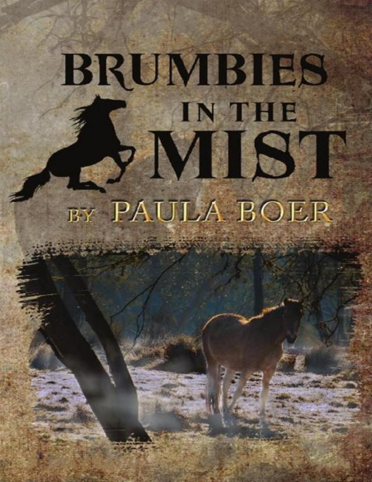 Brumbies In The Mist Paula Boer