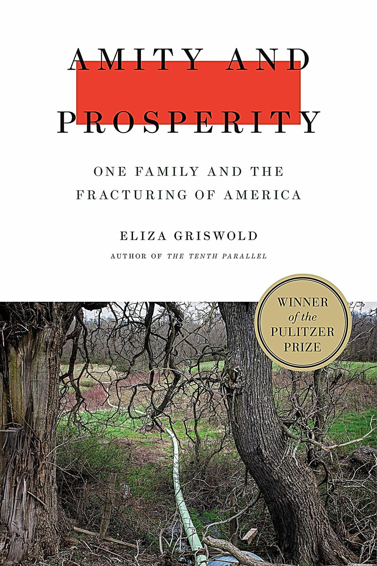Amity And Prosperity Eliza Griswold