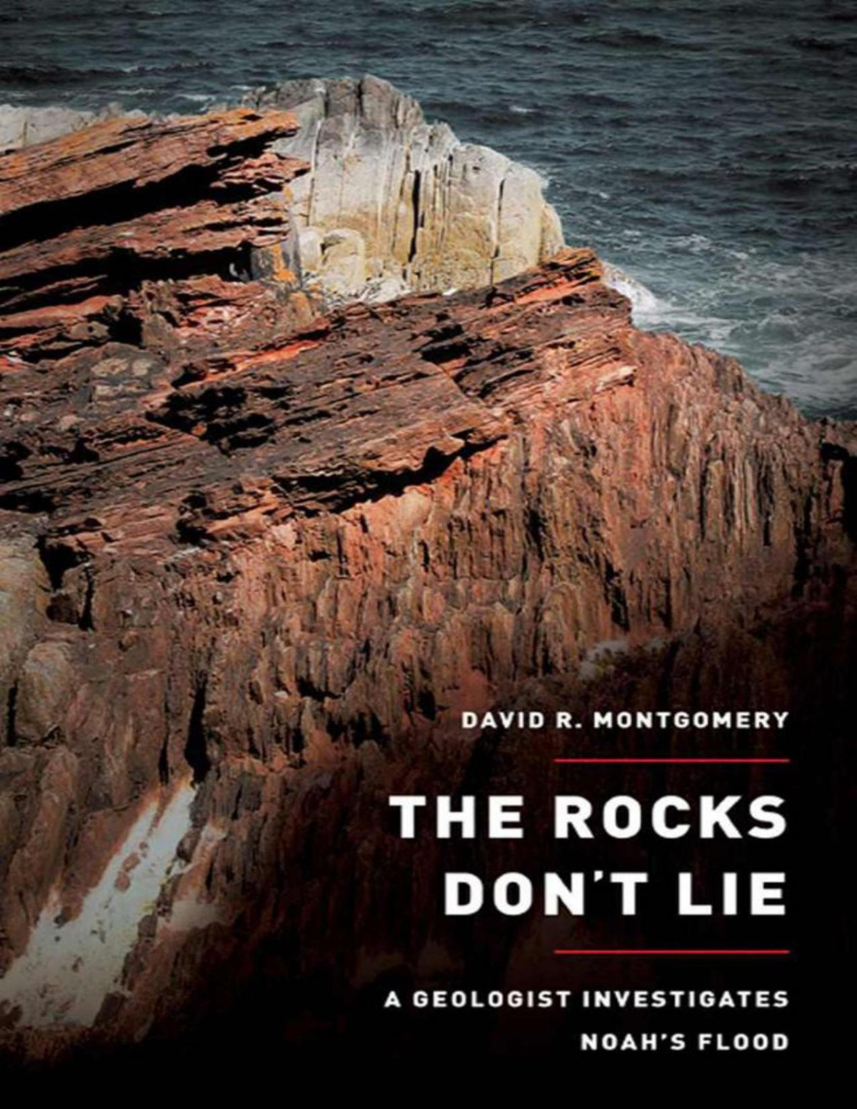 The Rocks Dont Lie A Geologist Investigates Noahs Flood David R Montgomery