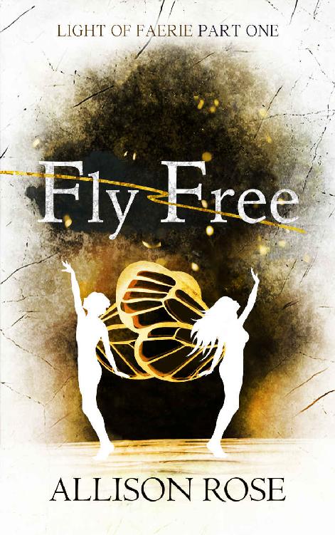 Fly Free Light Of Faerie Book 1 Allison Rose