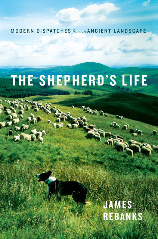 The Shepherds Life Modern Dispatches From An Ancient Landscape James Rebanks