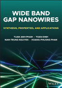 Wide Bandgap Nanowires Synthesis Properties And Applications Tuan Anh Pham Toan Dinh Hoangphuong Phan Namtrung Nguyen