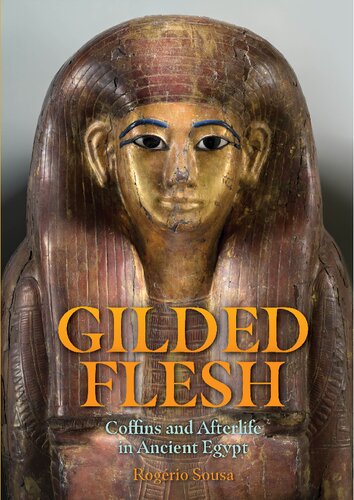 Gilded Flesh Coffins And Afterlife In Ancient Egypt Rogério Sousa