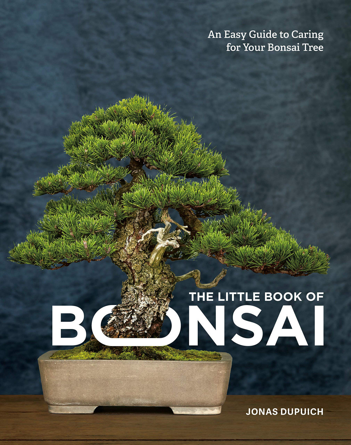 The Little Book Of Bonsai An Easy Guide To Caring For Your Bonsai Tree Illustrated Jonas Dupuich