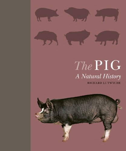 The Pig A Natural History Richard Lutwyche