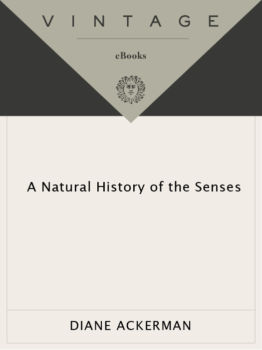 A Natural History Of The Senses Diane Ackerman