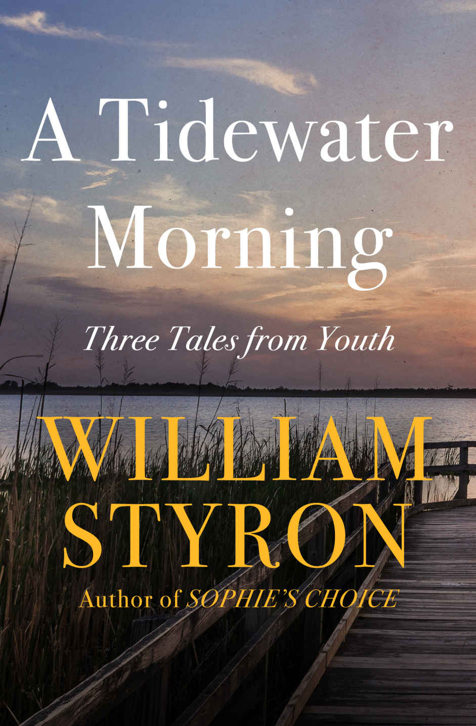 A Tidewater Morning Three Tales From Youth William Styron