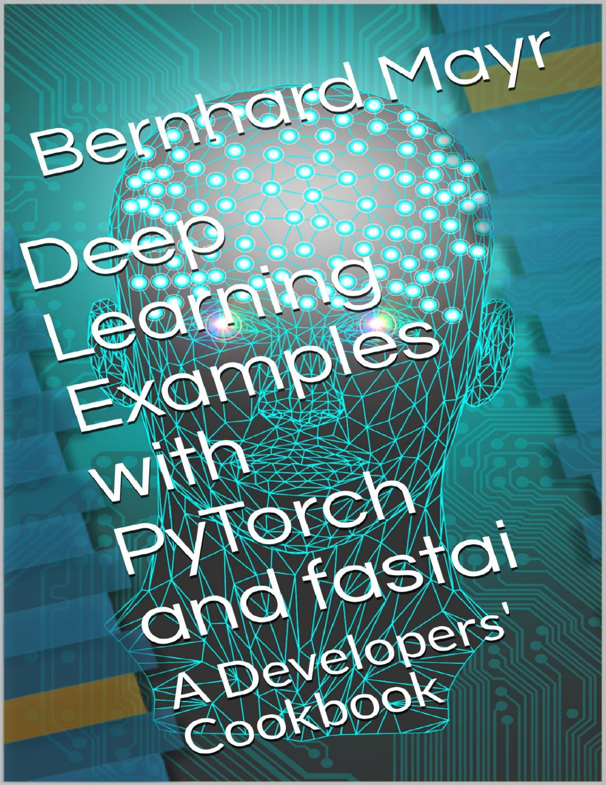Deep Learning Examples With Pytorch And Fastai A Developers Cookbook Bernhard J Mayr