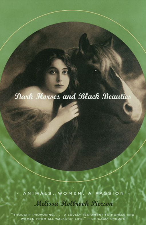 Dark Horses And Black Beauties Animals Women A Passion Melissa Holbrook Pierson