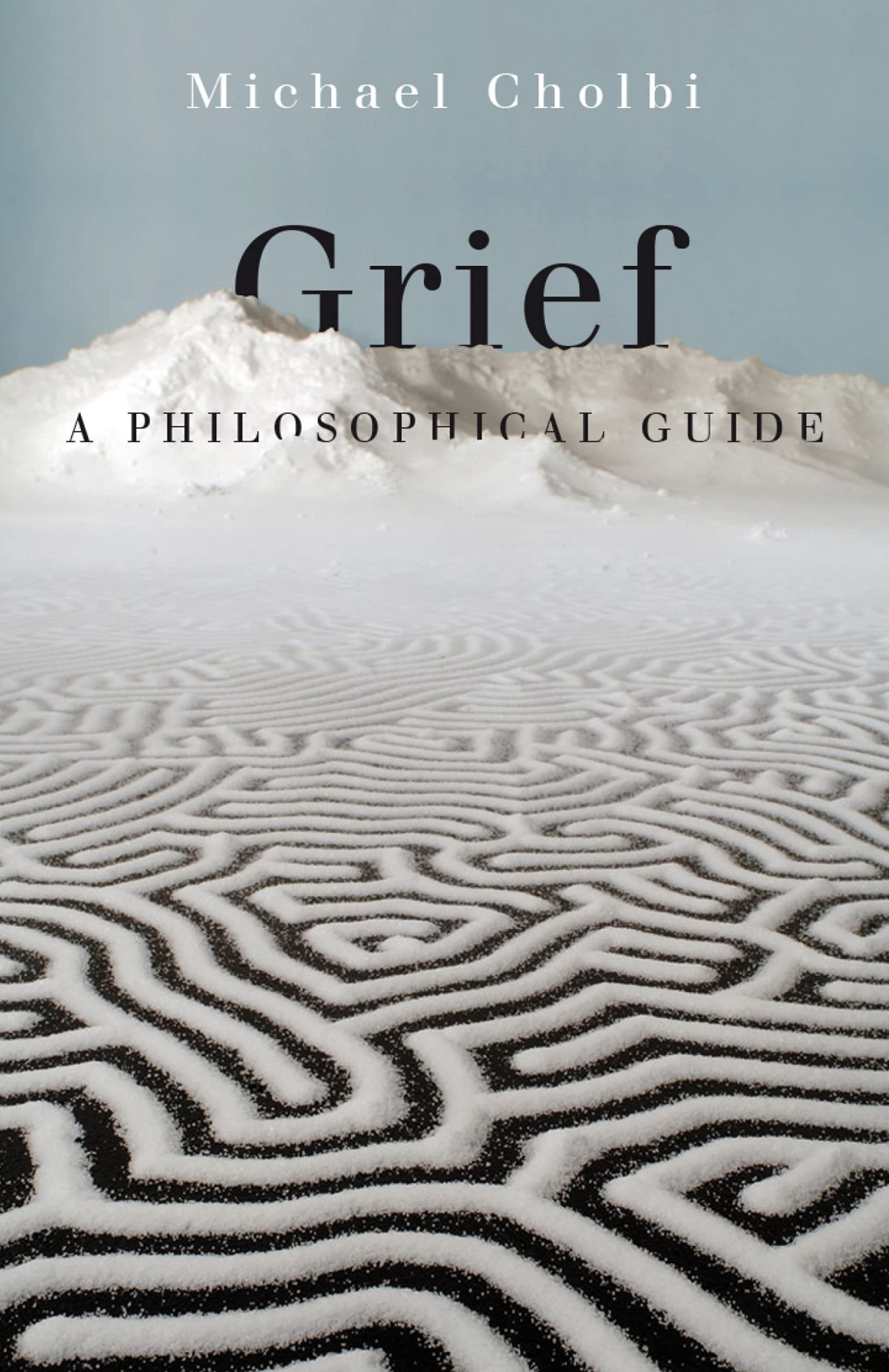 Grief A Philosophical Guide Michael Cholbi