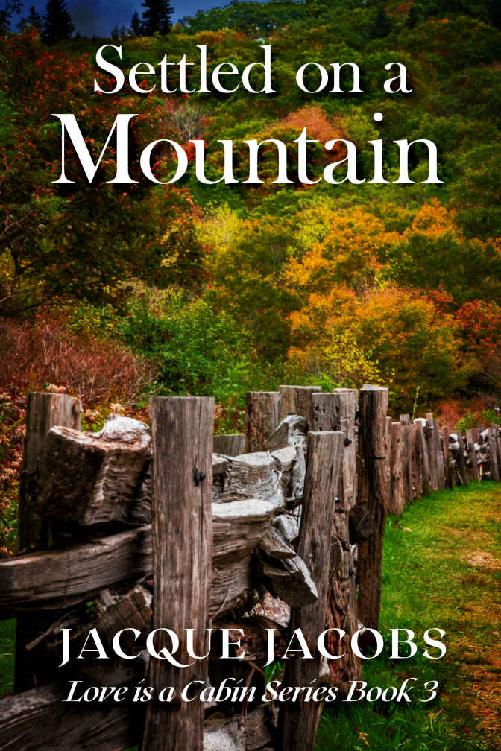 Settled On A Mountain Love Is A Cabin 03 Jacque Jacobs