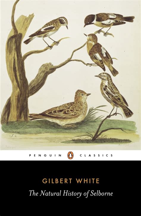 The Natural History Of Selborne Gilbert White