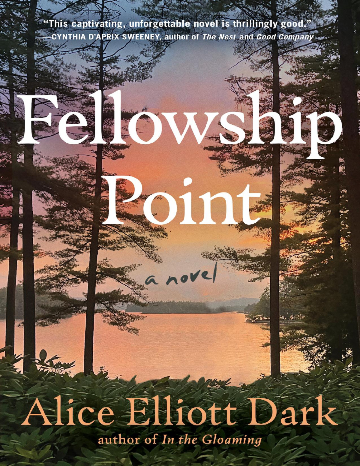 Fellowship Point Alice Elliott Dark