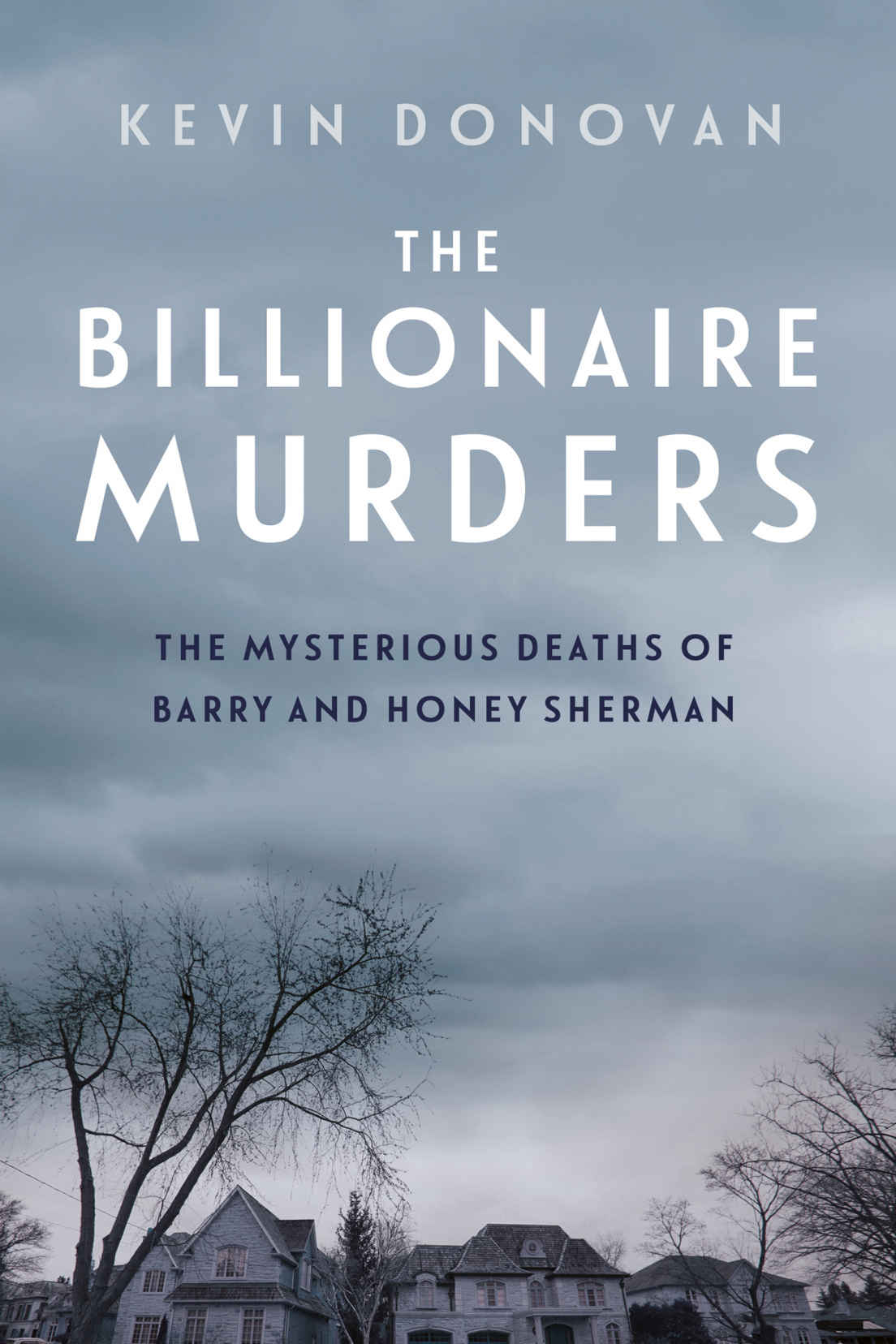 The Billionaire Murders Kevin Donovan