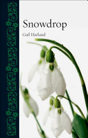 Snowdrop Gail Harland
