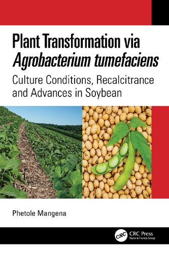 Plant Transformation Via Agrobacterium Tumefaciens Culture Conditions Recalcitrance And Advances In Soybean Phetole Mangena
