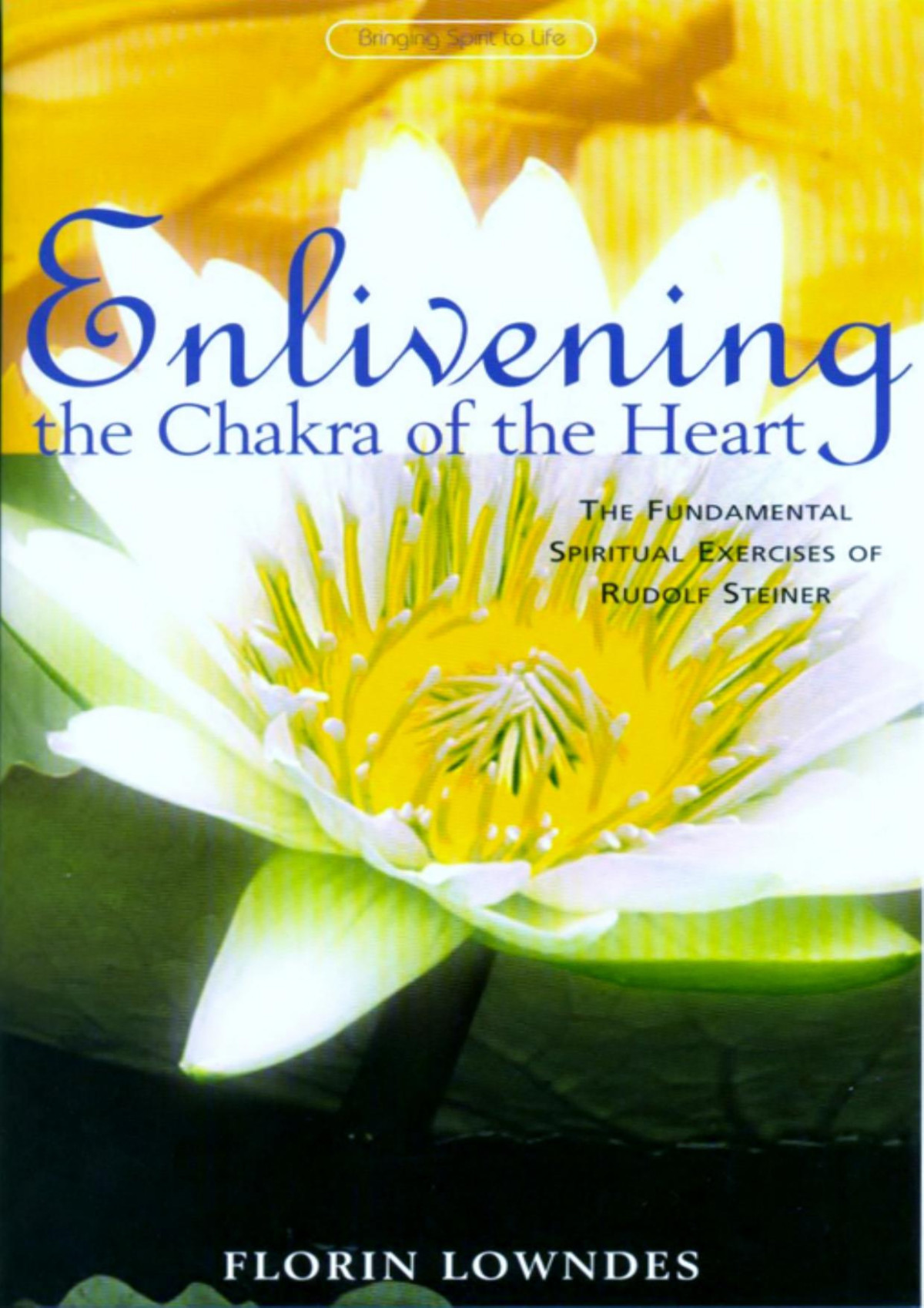 Enlivening The Chakra Of The Heart Florin Lowndes