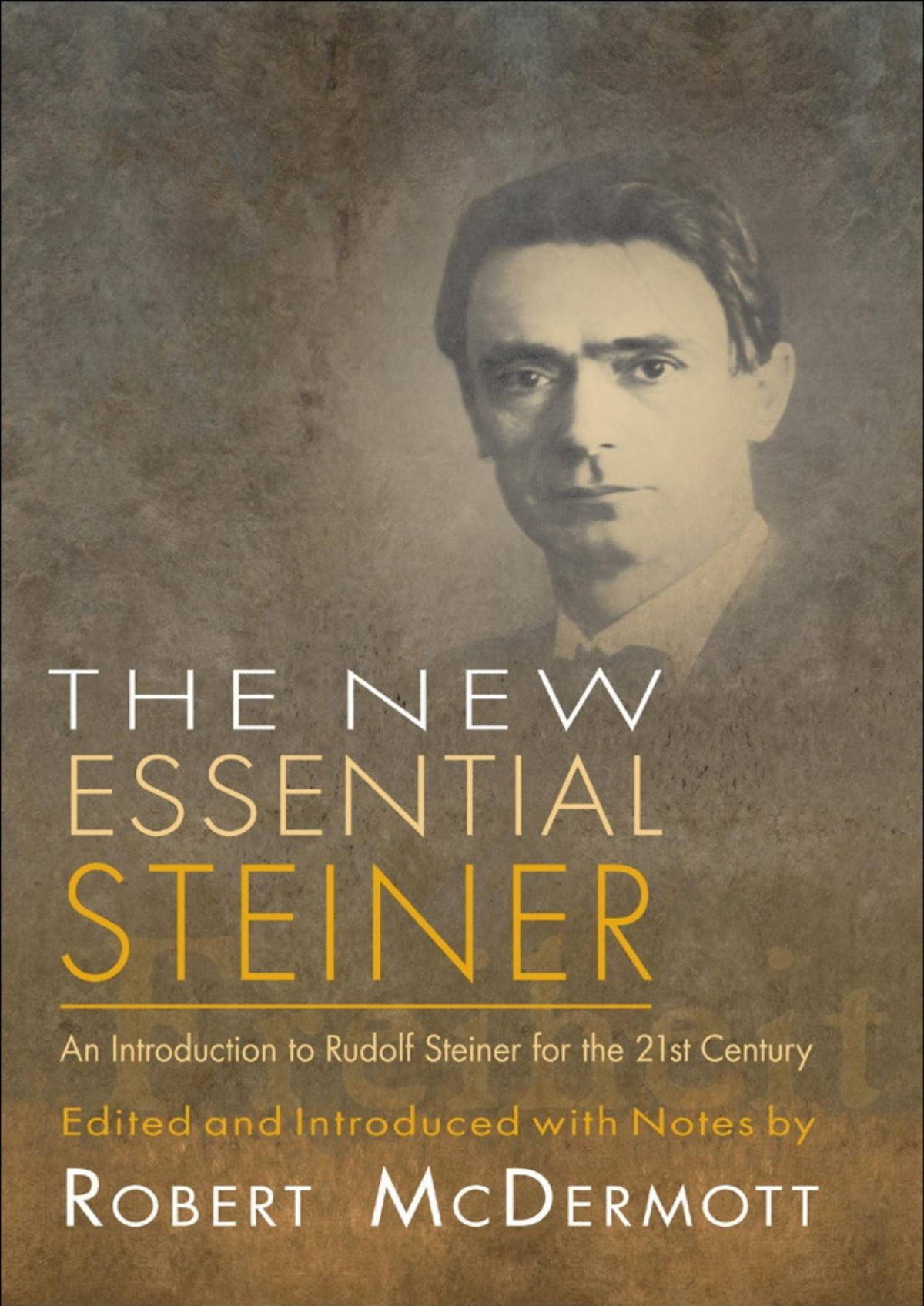 The New Essential Steiner Robert Mcdermott