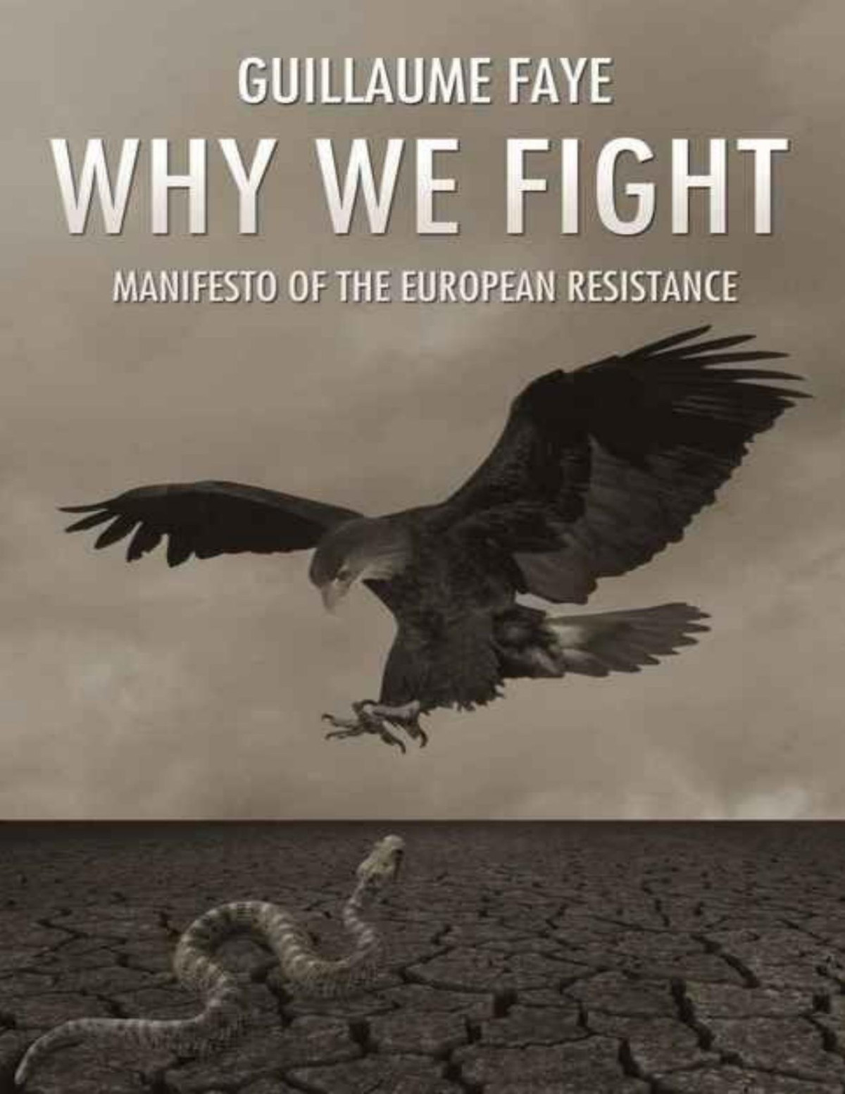 Why We Fight Manifesto Of The European Resistance Guillaume Faye