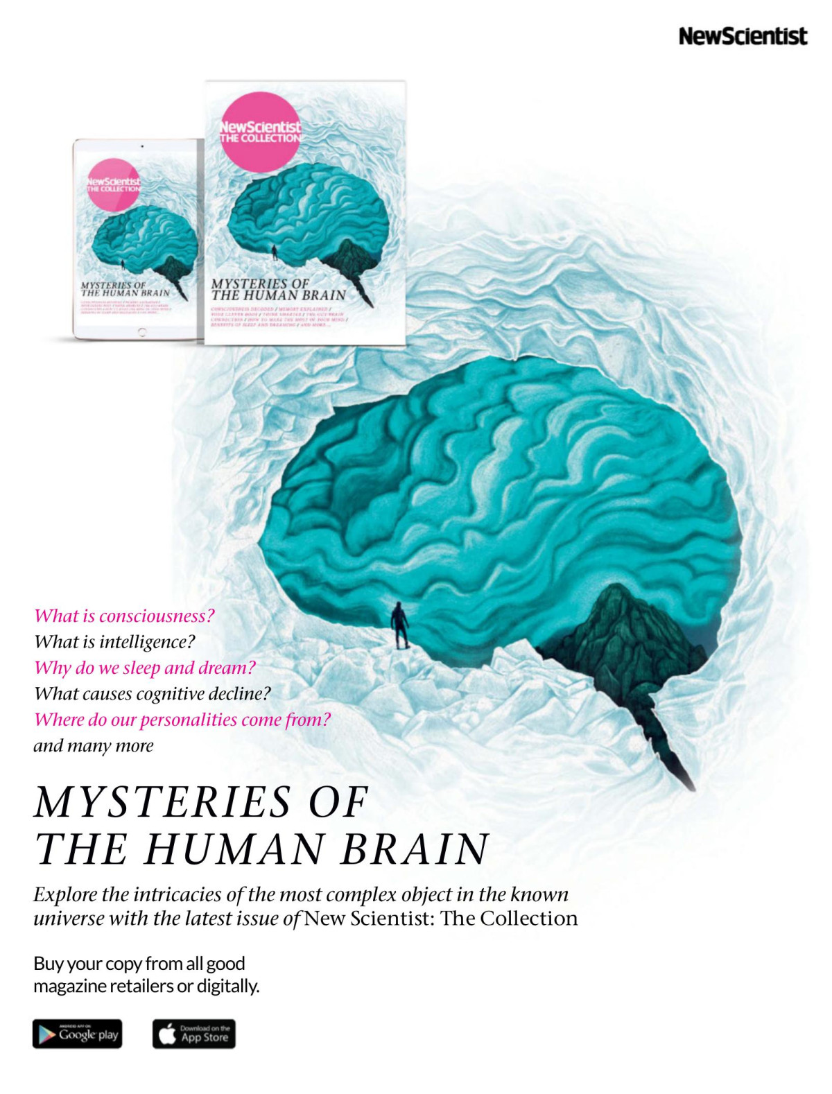 New Scientist Vol Ccli 3261 21st December 2019 Emily Wilson Editor In Chief