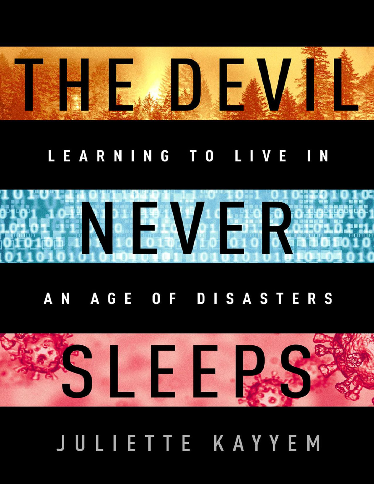 The Devil Never Sleeps Juliette Kayyem